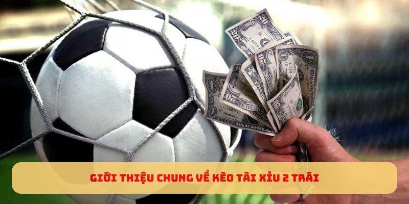 Giới thiệu chung về kèo tài xỉu 2 trái